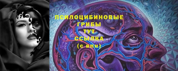 МДПВ Абаза